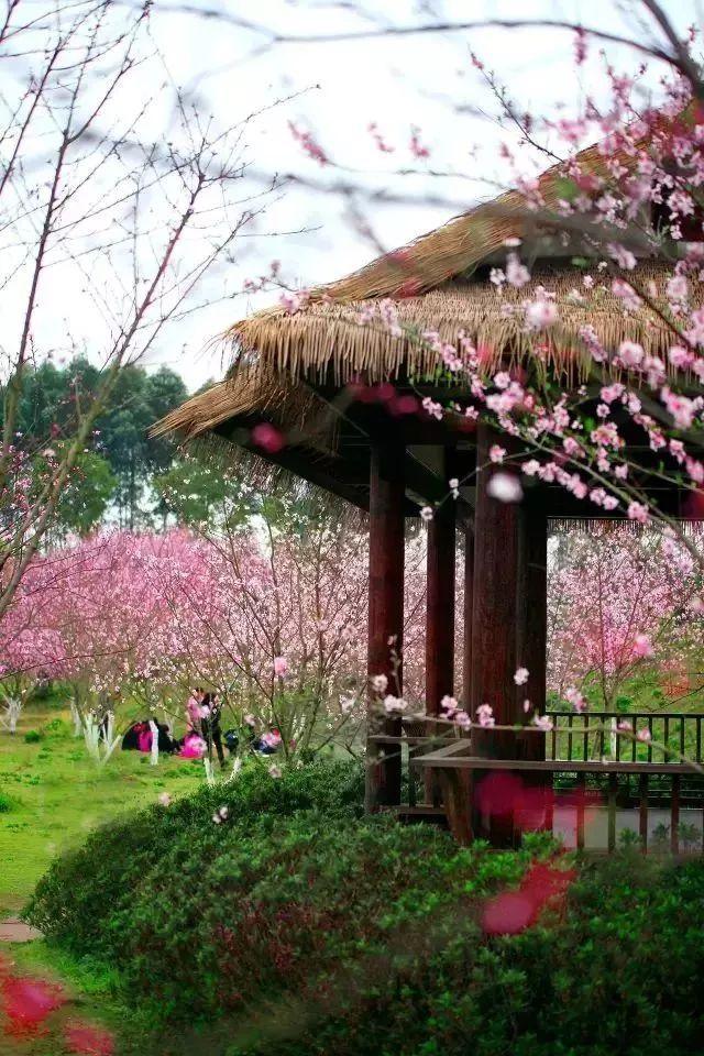 逃离空旷大街3
